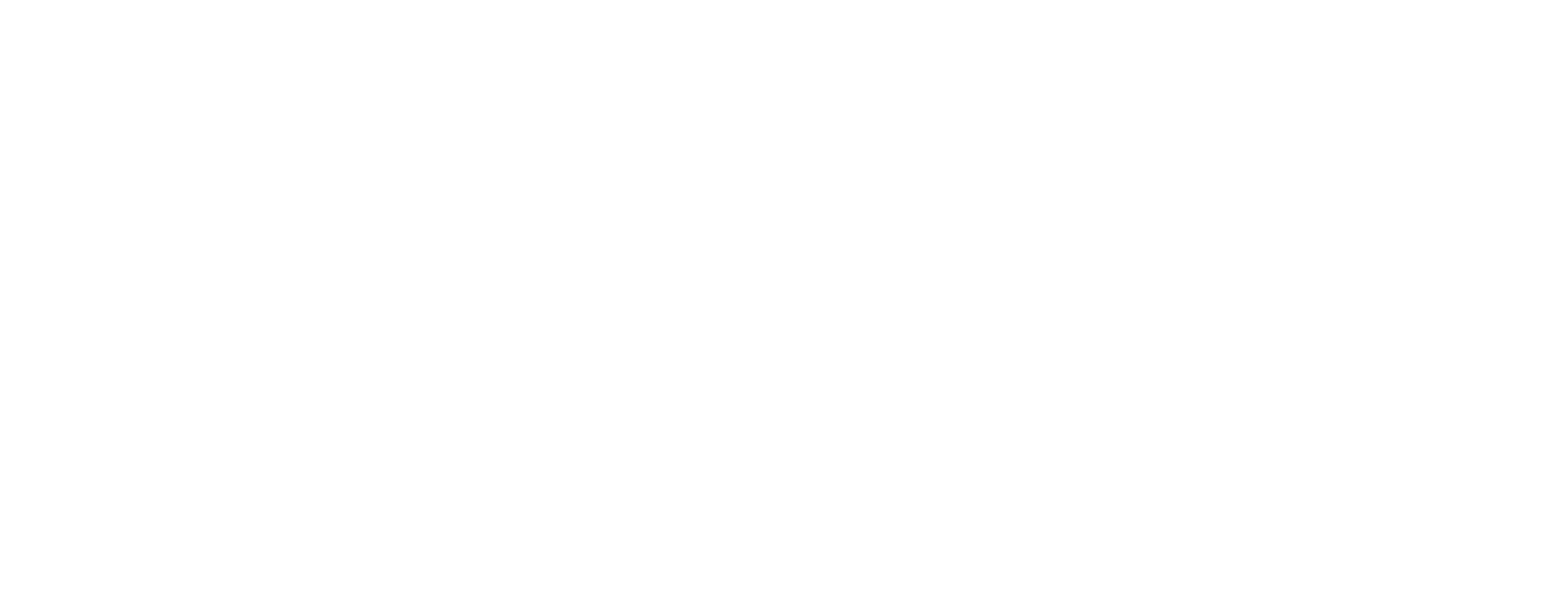 Evolution Car srl